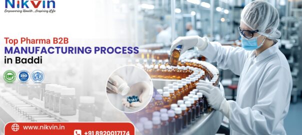 Pharma B2B Manufacturing Process in Baddi